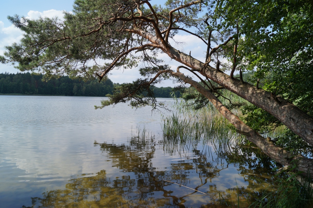 Jezioro Czarnwek  Fot Zbiory ZPKWZ